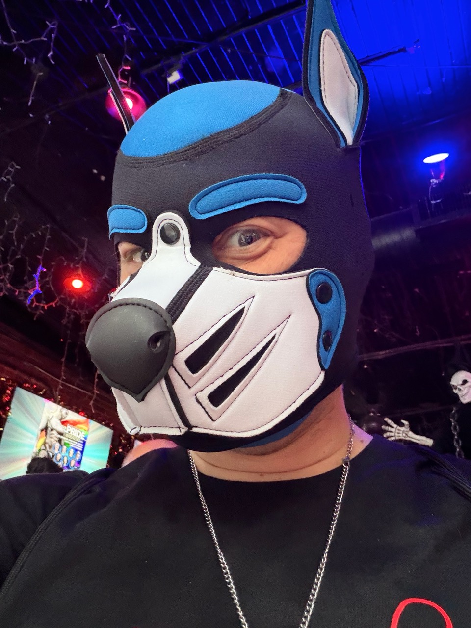 Frostbyte at Atlanta Pride in pup gear
