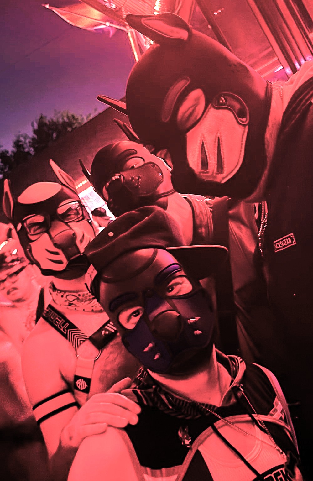 Frostbyte with Alpha Maximillion at Texas Furry Fiesta