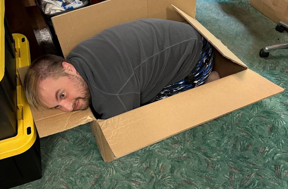 Frostbyte relaxing in a cardboard box